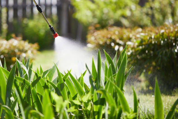 Tamper-Resistant Bait Stations for Rodents in Sunnyside-Tahoe City