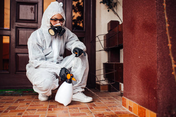 Attic and Crawl Space Rodent Treatment in Sunnyside-Tahoe City